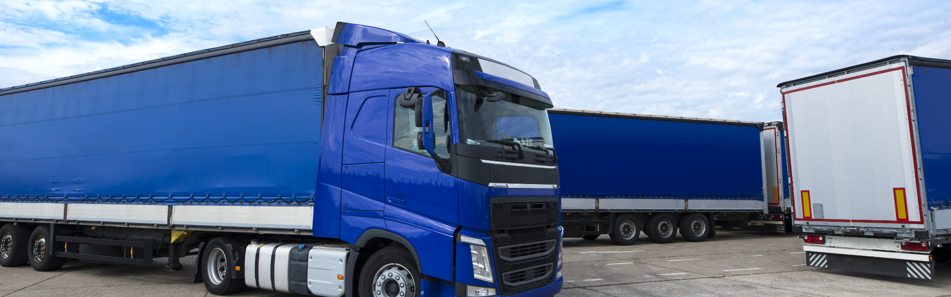 密码保护：俄罗斯客户：50*50地毯采购详情采集页