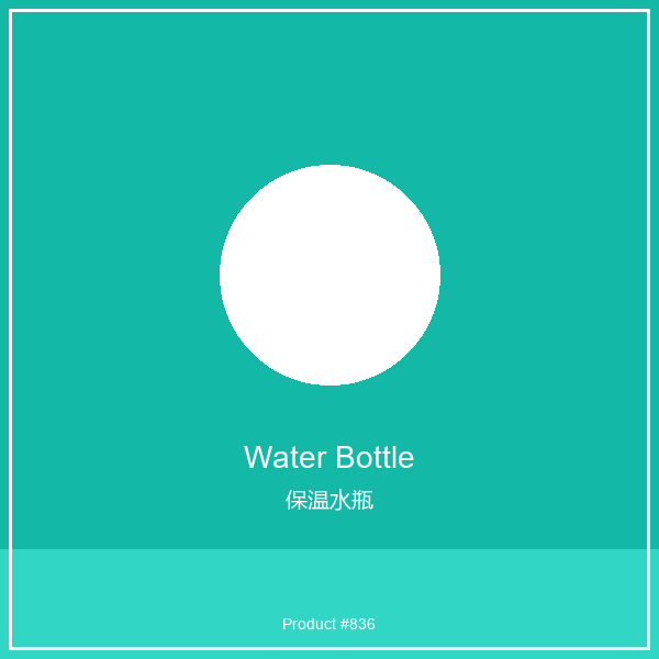 Insulated Water Bottle | Vacuum Thermos Flask