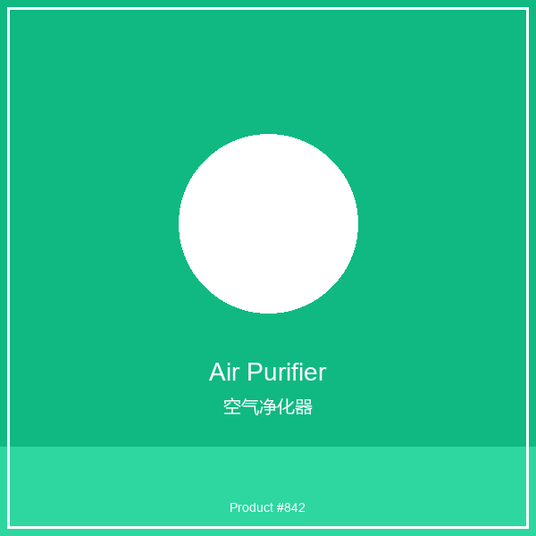 HEPA Air Purifier | Home Air Cleaner