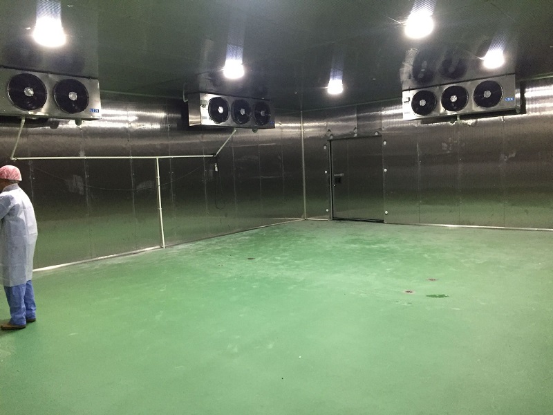 低温速冻库定制工程